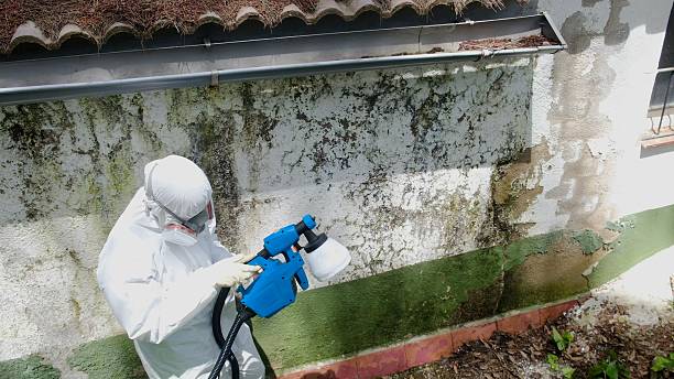 Top rated local Crawl Space Mold Remediation specialists in Greenville, PA